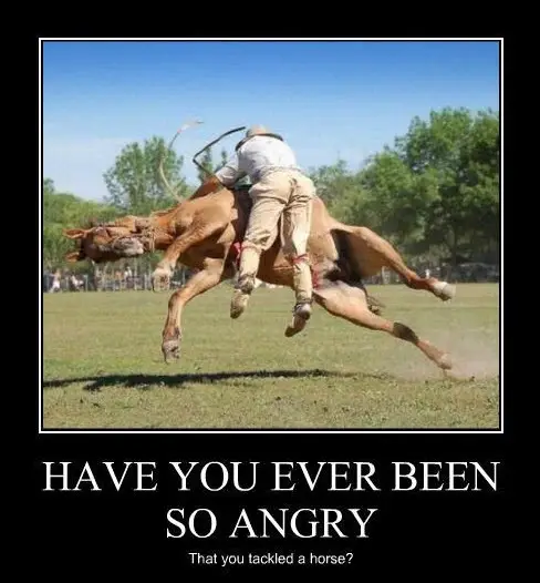 Have You Ever Been So Angry Tackled Horse Motivational